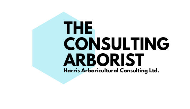Company Logo The consulting arborist at Harris Arboricultrual consulting provides arborist reports for tree removal permit applications, tree risk assessment, new and re-developments and general tree condition.